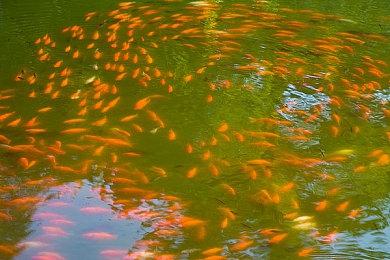 平台跳跃“手”游《有手就行》现已在steam正式发售!