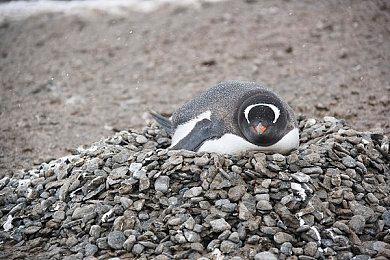 Spencer暗示Xbox未来将收购日本工作室